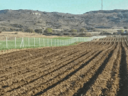 KÖK, SABAH SAAT 06.00’DA İŞÇİLERLE