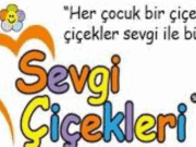 Sevgi Çicekleri Kreş Gündüz Bakım Evi