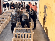 Uyuşturucu şebekesine Antalya Polisinden darbe