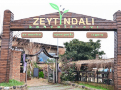 Zeytindalı Kahvaltı Evi