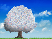 Pratik ve Şık Seçenekler Evonomi.com’da