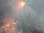 Manavgat’ta yangın panik yarattı.